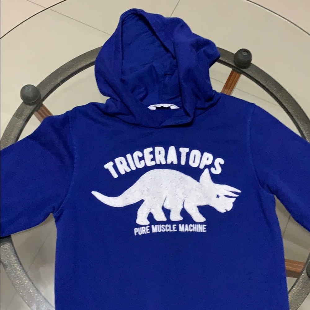 Blue hoddie